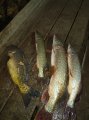 IMG-20191017-WA0085.jpg