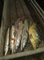 IMG-20191017-WA0080.jpg