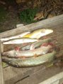 IMG-20191017-WA0076.jpg