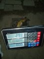 IMG-20191017-WA0075.jpg