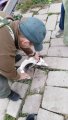 IMG-20191018-WA0018.jpg
