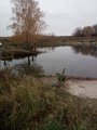IMG-20191019-WA0001.jpg