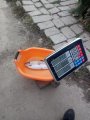 IMG-20191019-WA0065.jpg