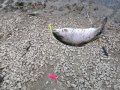IMG-20191019-WA0056.jpg