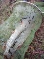 IMG-20191019-WA0046.jpg