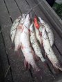 IMG-20191019-WA0037.jpg
