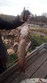 IMG-20191019-WA0035.jpg
