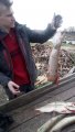 IMG-20191019-WA0034.jpg