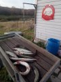 IMG-20191019-WA0078.jpg