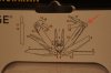 DSC04919111.jpg
