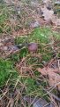 image-2019-10-22 19_55_26.jpg