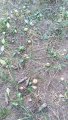IMG_20191019_143343.jpg