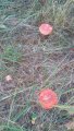 IMG_20191019_165415.jpg