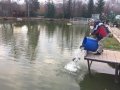 850C1893-D9BD-4870-9D08-F2EBAF8ED5A0.jpeg