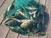 100_1288.jpg