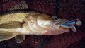 DSC00413.jpg