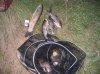 2009-09-06 - РР - улов1.jpg