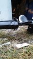20191114_135628.jpg