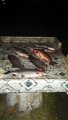 IMG-20191120-WA0059.jpg