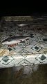 IMG-20191120-WA0053.jpg