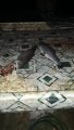IMG-20191120-WA0051.jpg
