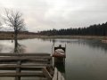 IMG_20191121_082927.jpg