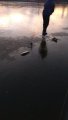 IMG-20191123-WA0002.jpg