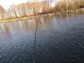 IMG_20191123_103813191.jpg