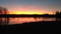IMG-20191124-WA0001.jpg
