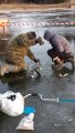 IMG-20191124-WA0015.jpg