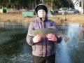 IMG_20191124_094419.jpg