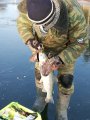 IMG_20191124_094212.jpg