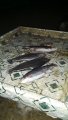 IMG-20191124-WA0046.jpg