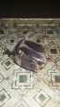 IMG-20191124-WA0063.jpg