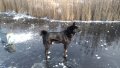 P_20191125_123804_vHDR_On.jpg