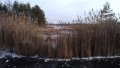 P_20191125_123837_vHDR_On.jpg