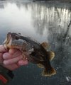 IMG_20191125_192858.jpg