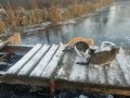 IMG_20191125_154936.jpg