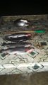 IMG-20191126-WA0056.jpg