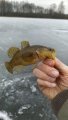IMG-20191126-WA0001.jpeg