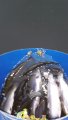 IMG-20191127-WA0004.jpg