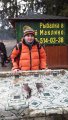 IMG-20191130-WA0026.jpg