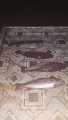 IMG-20191130-WA0040.jpg