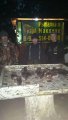 IMG-20191130-WA0044.jpg