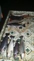 IMG-20191130-WA0053.jpg