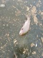 IMG_20191201_092645.jpg