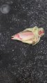 IMG-20191202-WA0011.jpg