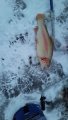 IMG-20191203-WA0021.jpg