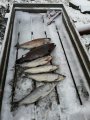 IMG-20191203-WA0053.jpg