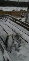IMG-20191203-WA0049.jpg